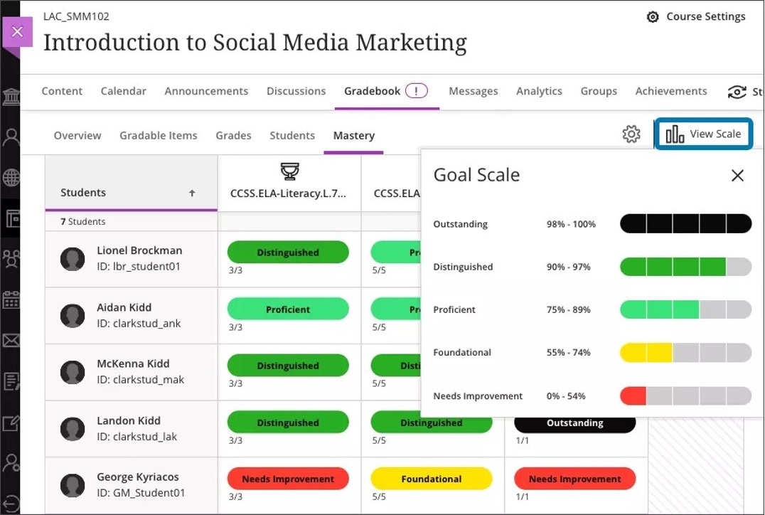 Image 3. Instructor view of the Mastery tab with View Scale selected