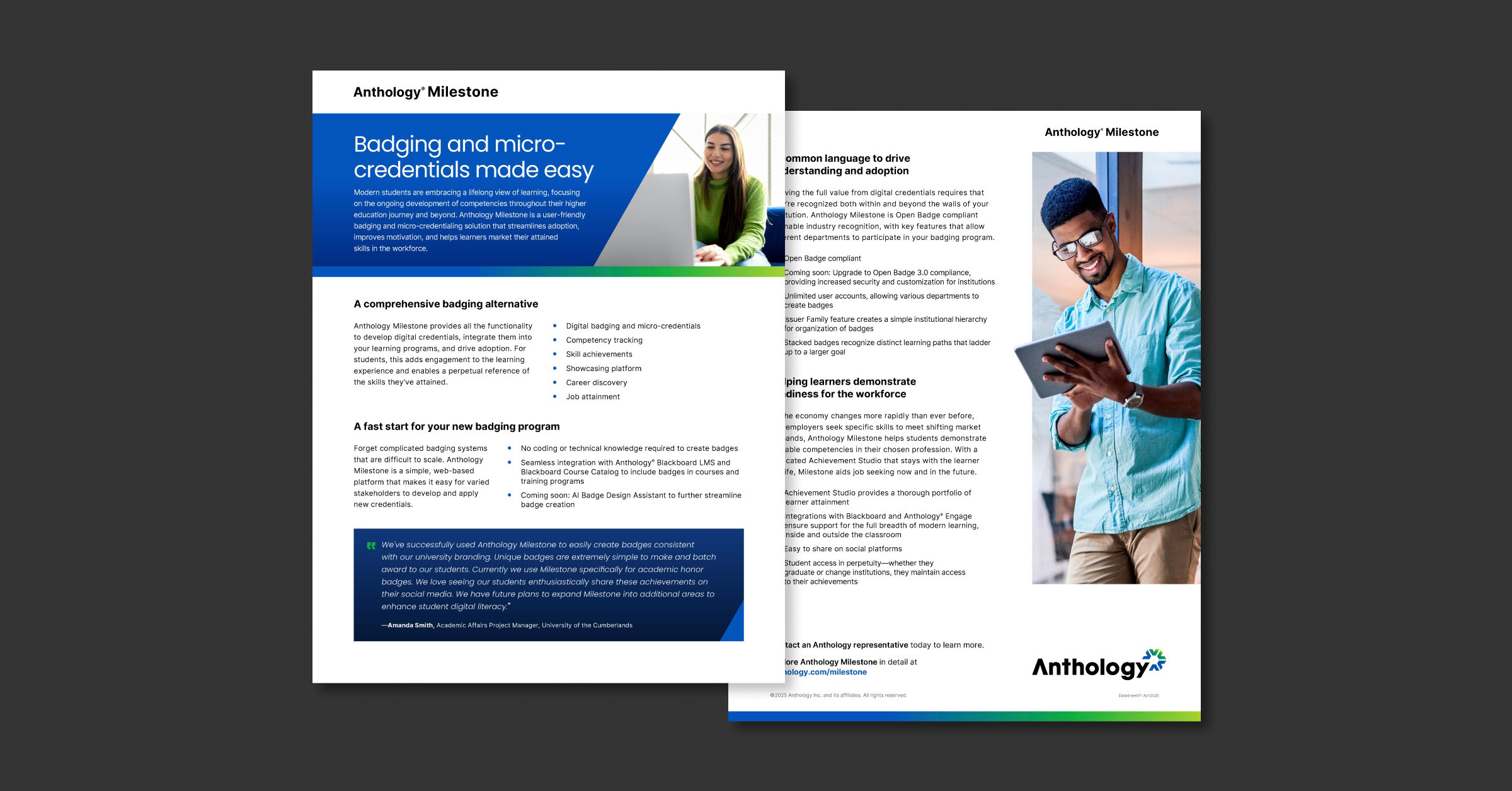 Preview of the datasheet over a gray background